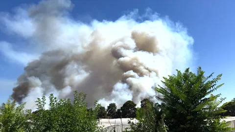 Forest fires in Turkey, Antalya. Stock Footage 279142718