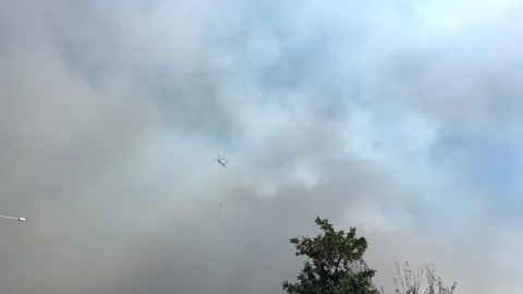 Forest fires in Turkey, Antalya. Stock Footage 279142763