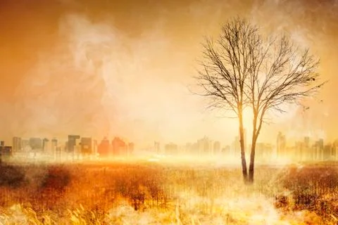 Forest Fire,wildfire, burning forest in the smoke on the city background. Stock Photos