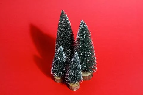 Forest firs red Stock Photos