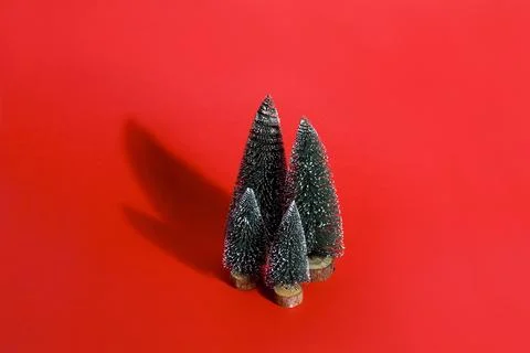 Forest firs red Stock Photos