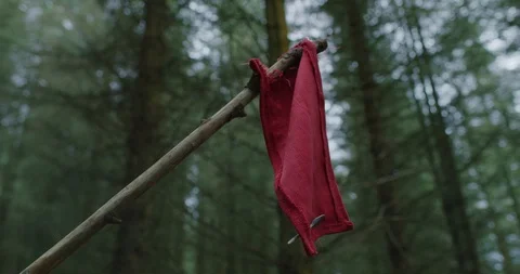 red gemini footage