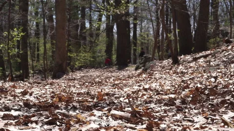 FOREST FLOOR TEENS Stock Footage 194007715