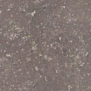 Forest Floor Texture with Small Dry Leaves Stock Photos