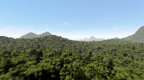 Forest fly through (4K,Loop) Stock Footage 58516916