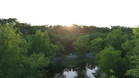 Forest Fly Through 動画素材 326554202