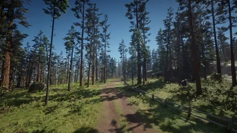 Forest fly through road sunny cloudy Stock Footage 266760119