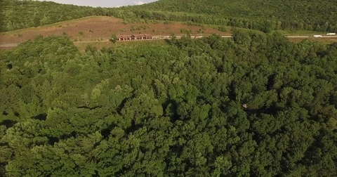 Forest Flyover Stock Footage 71018776
