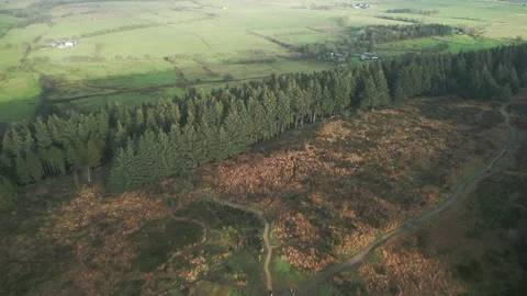 Forest flyover to green patchwork fields at Beacon Fell Country Park Stock Footage 232644929