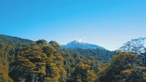 Forest flyover with a volcano backdrop in Peurto Montt, near Punti Agudo Stock Footage 86697323