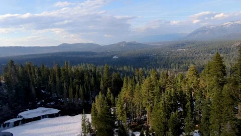 Forest Flyover in Winter Stock Footage 108561745