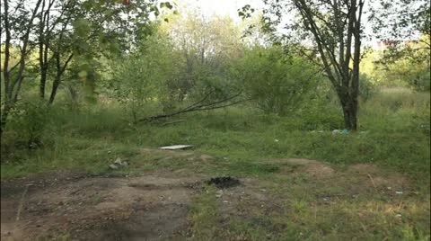 Forest flytrough 6 Stockbeeldmateriaal 20515100