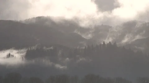Forest Fog Time Lapse Video stock 44967719