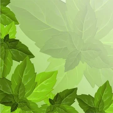 Forest foliage. Leaf texture. Green leaves frame template. Beautiful abstract Stock Illustration