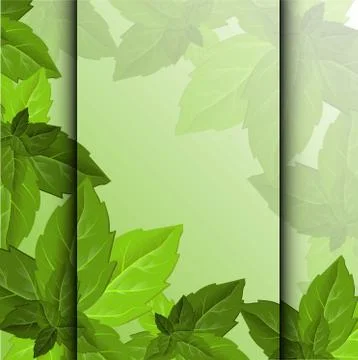 Forest foliage. Leaf texture. Green leaves frame template. Beautiful abstract Stock Illustration