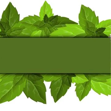 Forest foliage. Leaf texture. Green leaves frame template. Beautiful abstract Stock Illustration