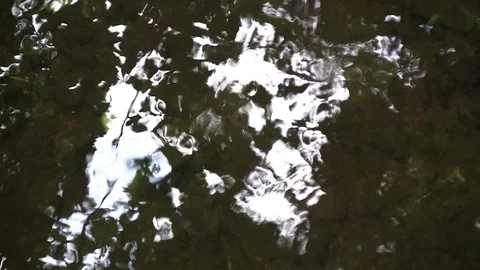 Forest foliage reflecting into undulating waves of a small brook mountain Stock Footage 91921210