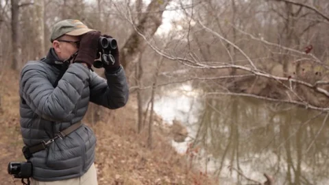 In the forest Video stock 104975437