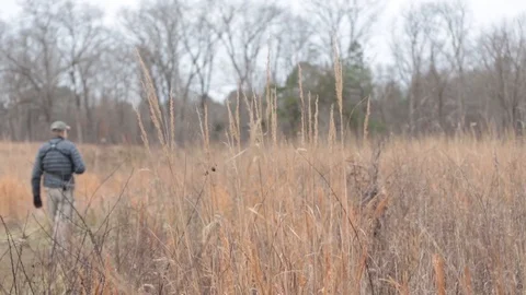 At the forest 動画素材 104976698