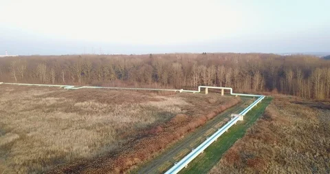 Forest Stockbeeldmateriaal 121326384