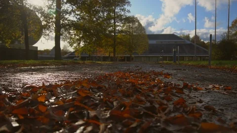 Forest 스톡 동영상 121447282