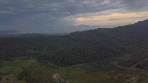 Forest Stock Footage 121549633