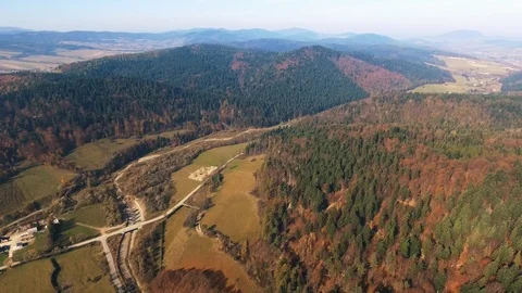 Forest Video stock 122338036