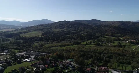 Forest 库存影片 140720681