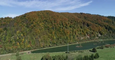 Forest 库存影片 140721764