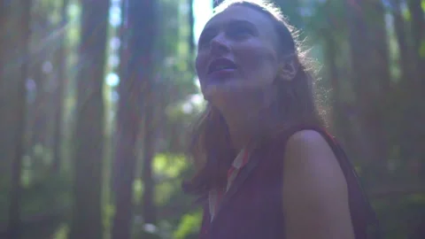 Forest Stock Footage 140864128