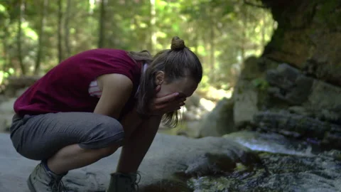 Forest Stock Footage 140864179