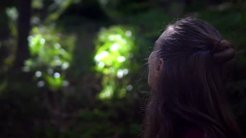 Forest Stock Footage 140864326