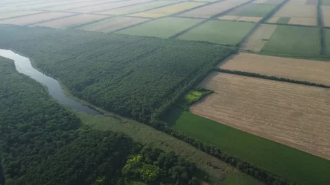 The forest Stock Footage 159736967