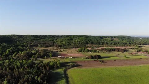 Forest Stock Footage 161197039