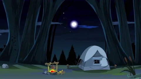 Forest Stock Footage 212905965