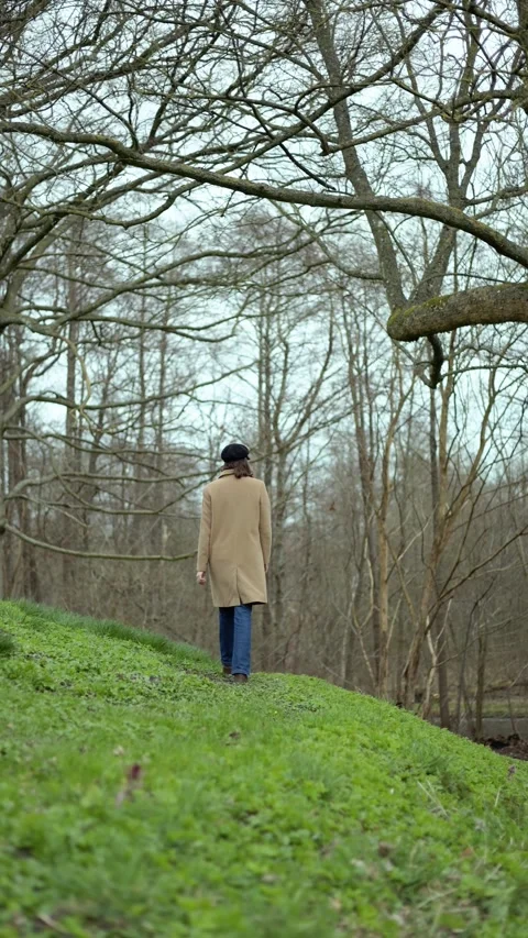 Forest Video stock 331995826