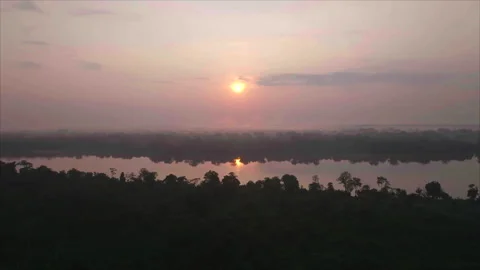 Forest foreground with low sun and river background, Ouesso, Congo Stockbeeldmateriaal 331999915