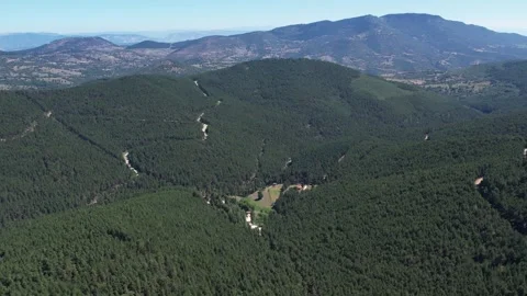 Forest forest park and mountains with aerial shot Stock Footage 293995259