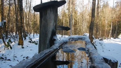 Forest Fountain in Winter Stock Footage 109425967