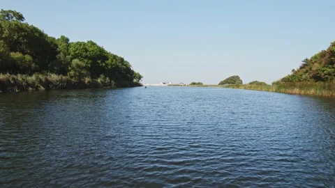 Forest FPV Fly Along River Rise to Reval Beach and Sea Canoes Tourists Hot Dry Video stock 235665634