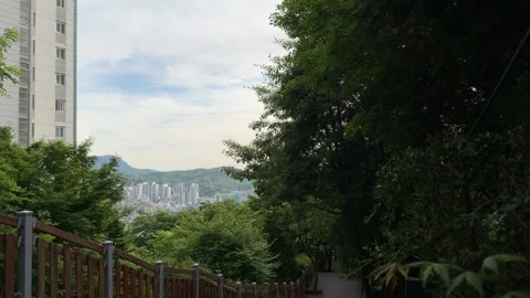 Forest-Framed Mountain and City View with Cloudy Sky Copy Space 库存影片 342611616