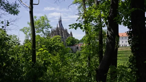 Forest Framing of Gothic Cathedral and Monastery in Kutná Hora Stock Footage 313880720