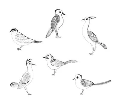 Forest friendly birds set Stock Illustration