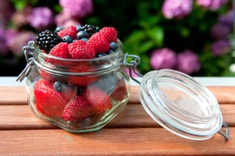 Forest fruit outdoor Foto stock
