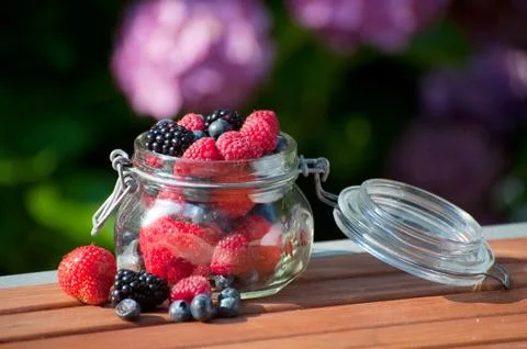 Forest fruit outdoor Stock Photos