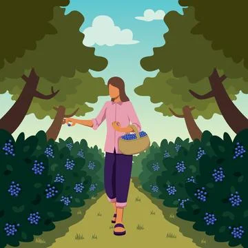 Forest Fruit Picking Stockillustratie