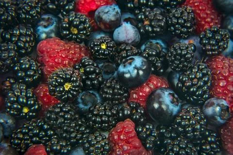 Forest fruits background Foto stock