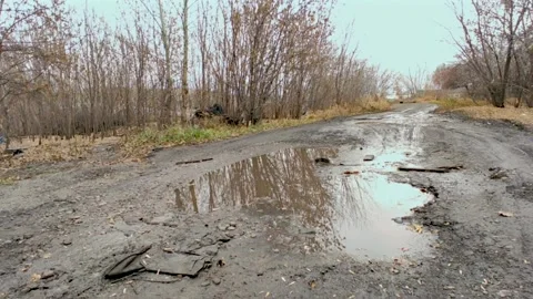 Forest full of garbage by the road Stock Footage 219767987