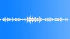 Forest Furries Stock Music
