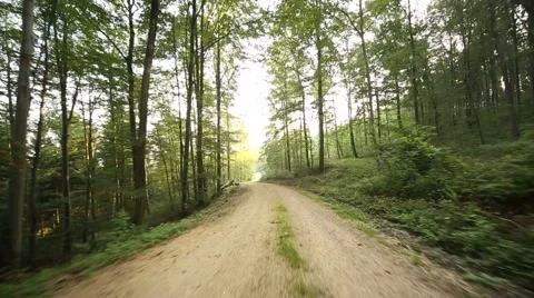 Forest in Germany – On-Board Camera P.O.V. Video stock 41745548